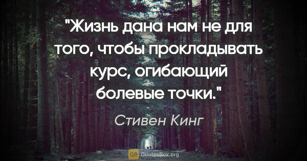 Стивен Кинг цитата: "Жизнь дана нам не для того, чтобы прокладывать курс, огибающий..."