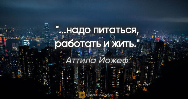Аттила Йожеф цитата: "...надо питаться, работать и жить."