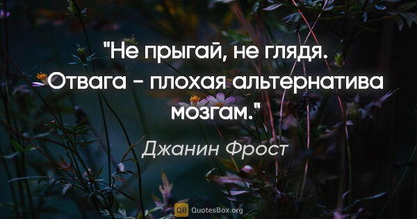 Джанин Фрост цитата: "Не прыгай, не глядя. Отвага - плохая альтернатива мозгам."