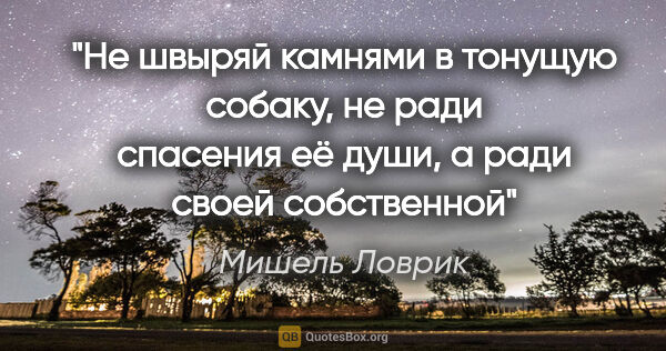 Мишель Ловрик цитата: "Не швыряй камнями в тонущую собаку, не ради спасения её души,..."