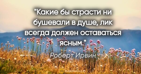 Роберт Ирвин цитата: "Какие бы страсти ни бушевали в душе, лик всегда должен..."