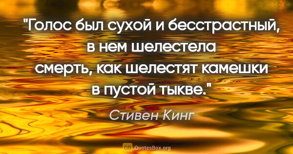 Стивен Кинг цитата: "Голос был сухой и бесстрастный, в нем шелестела смерть, как..."