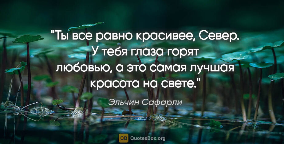 Эльчин Сафарли цитата: "Ты все равно красивее, Север. У тебя глаза горят любовью, а..."