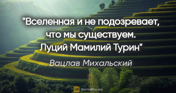 Вацлав Михальский цитата: "Вселенная и не подозревает, что мы существуем.

Луций Мамилий..."