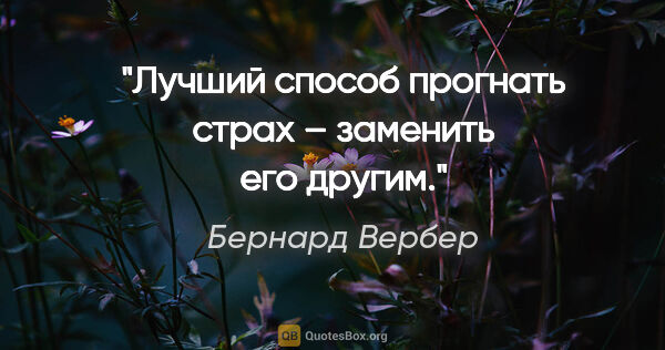 Бернард Вербер цитата: "Лучший способ прогнать страх – заменить его другим."