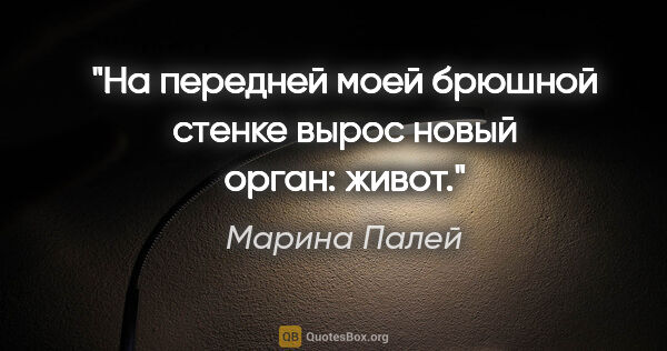 Марина Палей цитата: "На передней моей брюшной стенке вырос новый орган: живот."