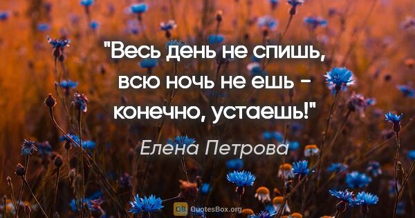 Елена Петрова цитата: "Весь день не спишь, всю ночь не ешь - конечно, устаешь!"