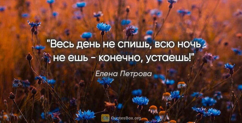 Елена Петрова цитата: "Весь день не спишь, всю ночь не ешь - конечно, устаешь!"