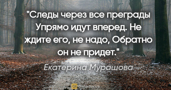 Екатерина Мурашова цитата: "Следы через все преграды

Упрямо идут вперед.

Не ждите его,..."