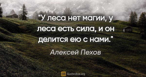 Алексей Пехов цитата: "У леса нет магии, у леса есть сила, и он делится ею с нами."