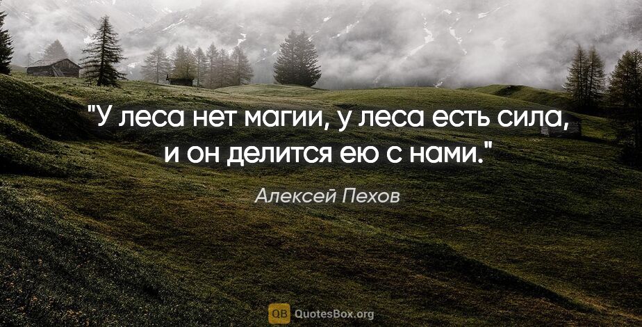 Алексей Пехов цитата: "У леса нет магии, у леса есть сила, и он делится ею с нами."