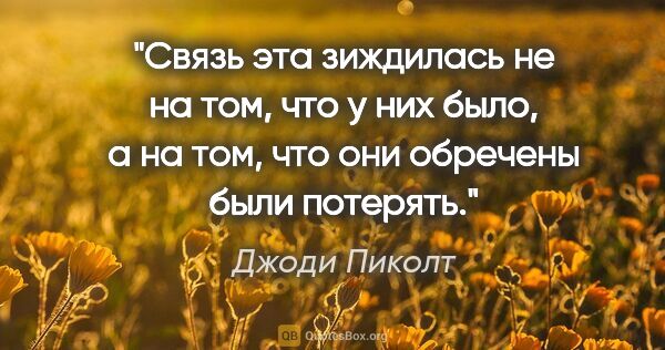 Джоди Пиколт цитата: "Связь эта зиждилась не на том, что у них было, а на том, что..."