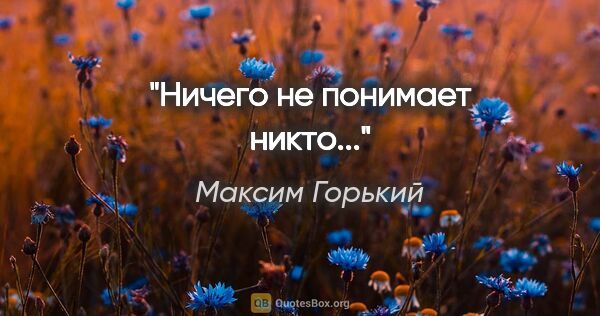 Максим Горький цитата: "Ничего не понимает никто..."