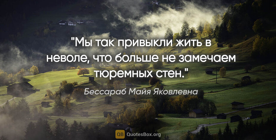 Бессараб Майя Яковлевна цитата: "Мы так привыкли жить в неволе, что больше не замечаем тюремных..."