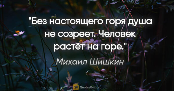 Михаил Шишкин цитата: "Без настоящего горя душа не созреет. Человек растёт на горе."