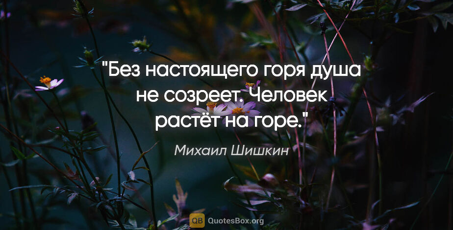 Михаил Шишкин цитата: "Без настоящего горя душа не созреет. Человек растёт на горе."