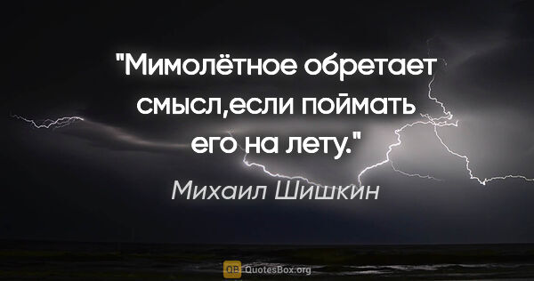 Михаил Шишкин цитата: "Мимолётное обретает смысл,если поймать его на лету."