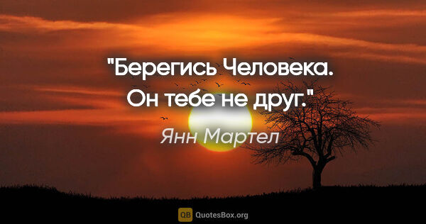 Янн Мартел цитата: "Берегись Человека. Он тебе не друг."