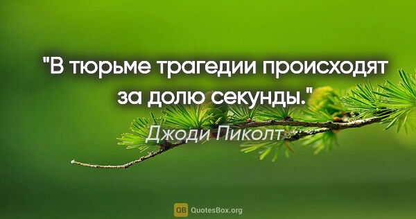 Джоди Пиколт цитата: "В тюрьме трагедии происходят за долю секунды."
