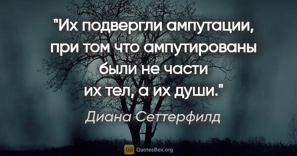 Диана Сеттерфилд цитата: "Их подвергли ампутации, при том что ампутированы были не части..."