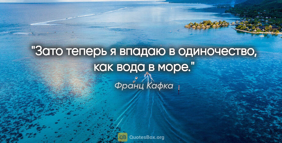 Франц Кафка цитата: "Зато теперь я впадаю в одиночество, как вода в море."