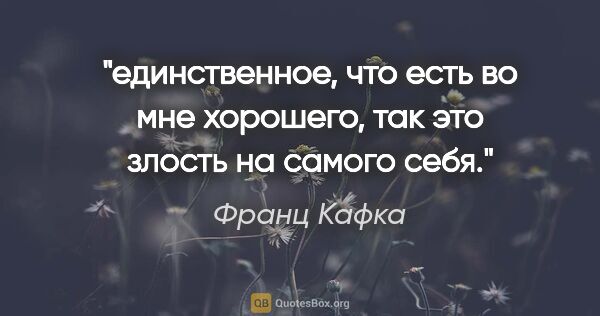 Франц Кафка цитата: "единственное, что есть во мне хорошего, так это злость на..."