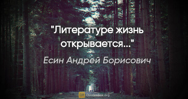 Есин Андрей Борисович цитата: "Литературе жизнь открывается..."