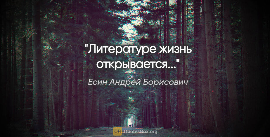 Есин Андрей Борисович цитата: "Литературе жизнь открывается..."