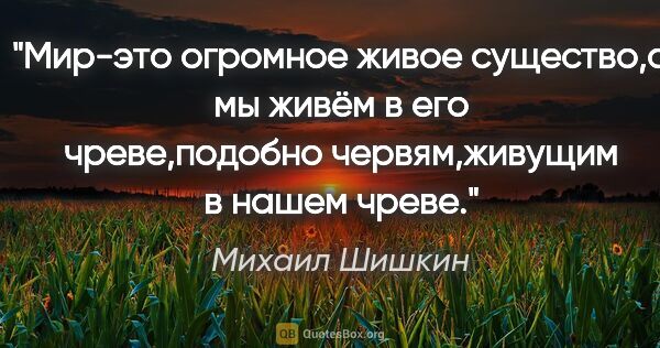 Михаил Шишкин цитата: "Мир-это огромное живое существо,а мы живём в его чреве,подобно..."