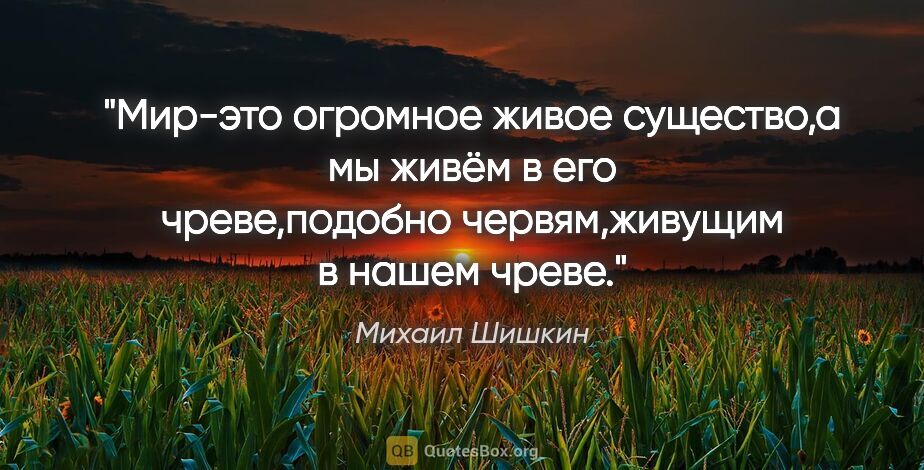 Михаил Шишкин цитата: "Мир-это огромное живое существо,а мы живём в его чреве,подобно..."