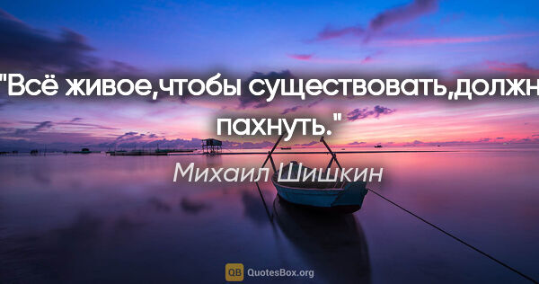 Михаил Шишкин цитата: "Всё живое,чтобы существовать,должно пахнуть."