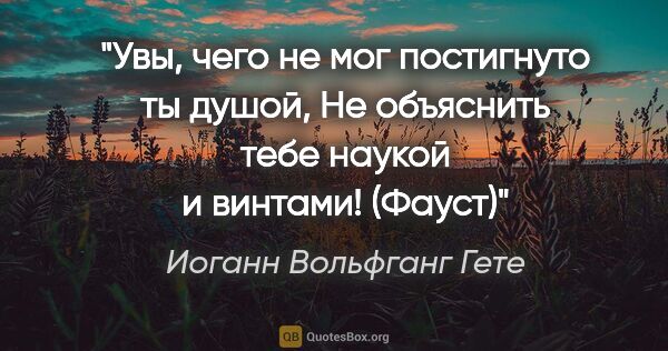 Иоганн Вольфганг Гете цитата: "Увы, чего не мог постигнуто ты душой,

Не объяснить тебе..."