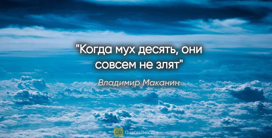 Владимир Маканин цитата: "Когда мух десять, они совсем не злят"