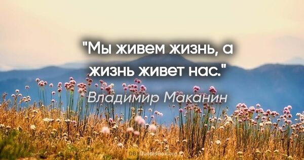 Владимир Маканин цитата: "Мы живем жизнь, а жизнь живет нас."