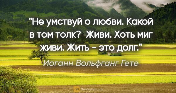 Иоганн Вольфганг Гете цитата: "Не умствуй о любви. Какой в том толк? 

Живи. Хоть миг живи...."