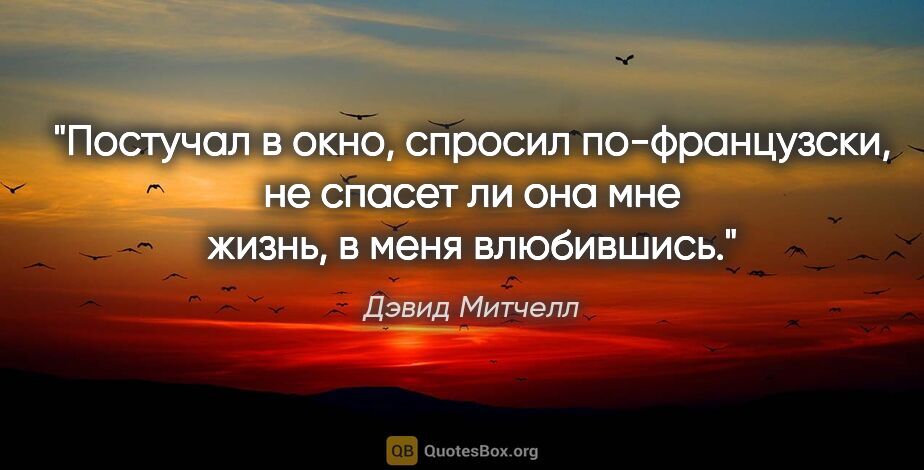 Дэвид Митчелл цитата: "Постучал в окно, спросил по-французски, не спасет ли она мне..."