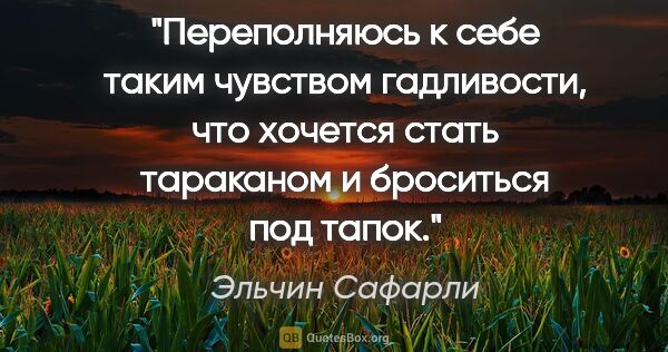 Эльчин Сафарли цитата: "«Переполняюсь к себе таким чувством гадливости, что хочется..."