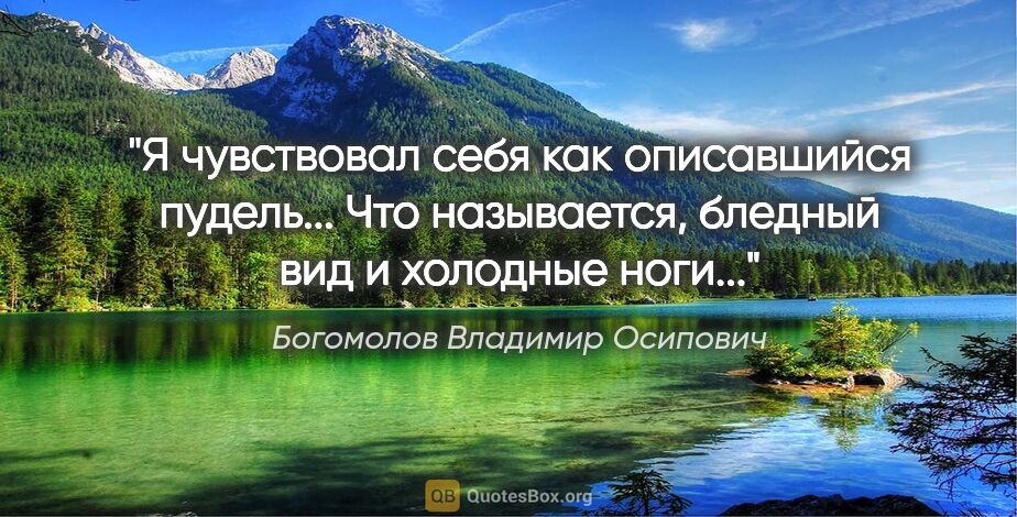 Богомолов Владимир Осипович цитата: "Я чувствовал себя как описавшийся пудель... Что называется,..."