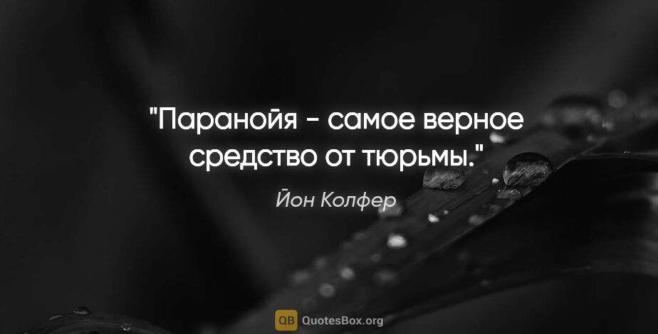 Йон Колфер цитата: "Паранойя - самое верное средство от тюрьмы."