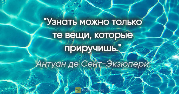 Антуан де Сент-Экзюпери цитата: "Узнать можно только те вещи, которые приручишь."