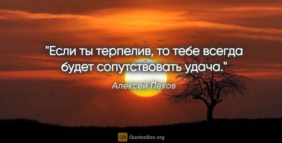 Алексей Пехов цитата: "Если ты терпелив, то тебе всегда будет сопутствовать удача."
