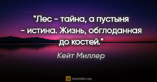 Кейт Миллер цитата: "Лес - тайна, а пустыня - истина. Жизнь, обглоданная до костей."