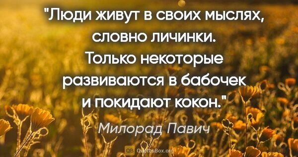 Милорад Павич цитата: "Люди живут в своих мыслях, словно личинки. Только некоторые..."