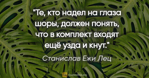 Станислав Ежи Лец цитата: "Те, кто надел на глаза шоры, должен понять, что в комплект..."