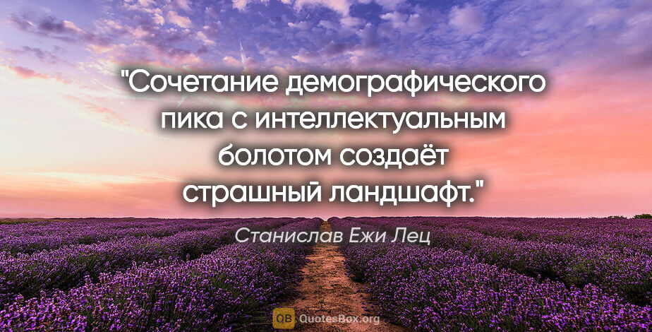 Станислав Ежи Лец цитата: "Сочетание демографического пика с интеллектуальным болотом..."