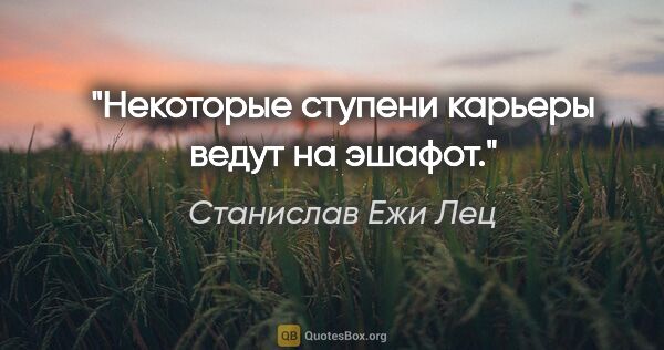 Станислав Ежи Лец цитата: "Некоторые ступени карьеры ведут на эшафот."