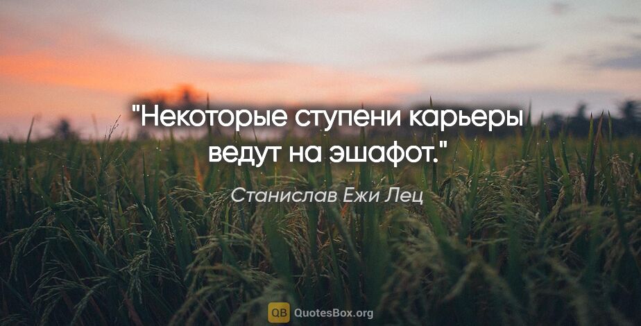 Станислав Ежи Лец цитата: "Некоторые ступени карьеры ведут на эшафот."