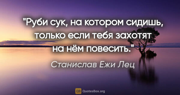 Станислав Ежи Лец цитата: "Руби сук, на котором сидишь, только если тебя захотят на нём..."