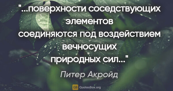 Питер Акройд цитата: "поверхности соседствующих элементов соединяются под..."