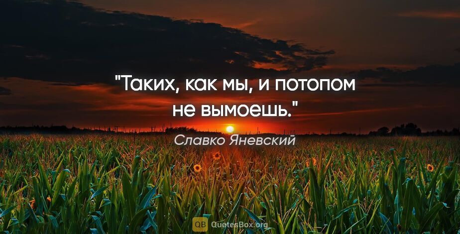 Славко Яневский цитата: "Таких, как мы, и потопом не вымоешь."